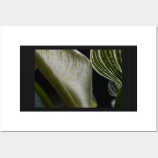 Macro Foliage Leaves Posters and Art